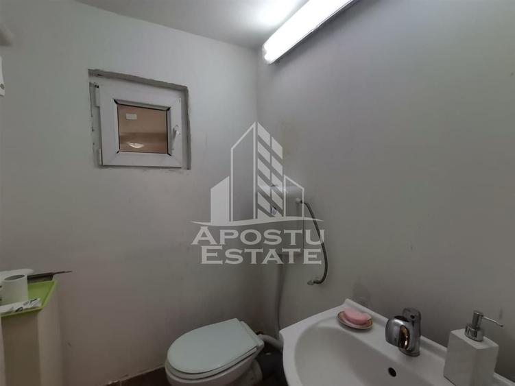 Casă individuală cu 5 camere cu Canalizare în Crișan