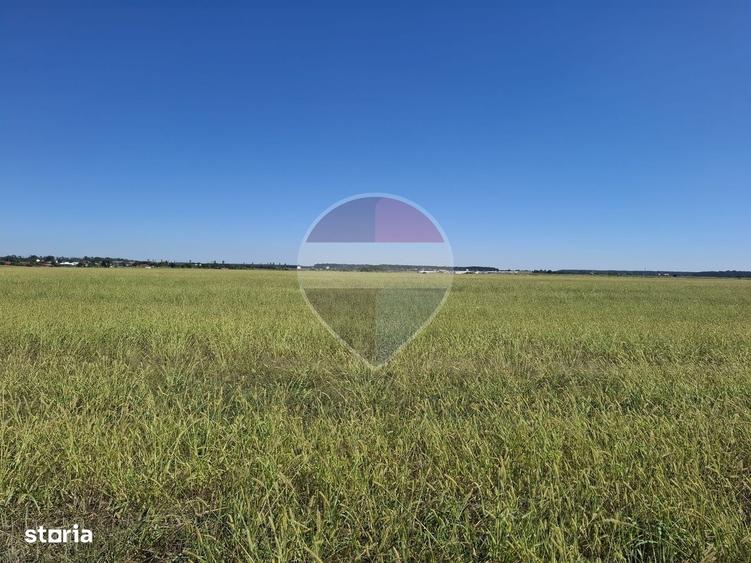 Vanzare teren extravilan 5.000mp - Pantelimon - 5