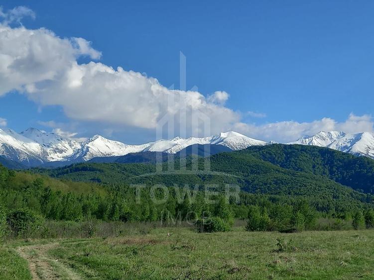 Teren extravilan de 2500 mp, în Porumbacu de Jos