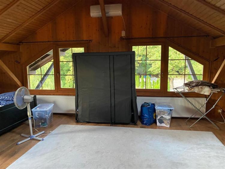 Casă cu 5 camere cu Teren 3000 Mp în Făget