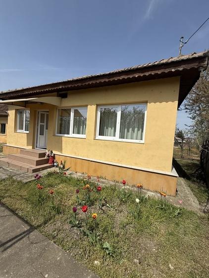 Casă cu 2 camere în Pielești