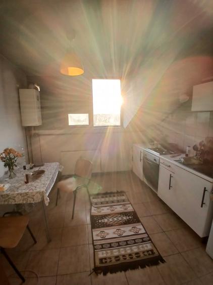 Apartament cu 2 camere semidecomandat în Snagov
