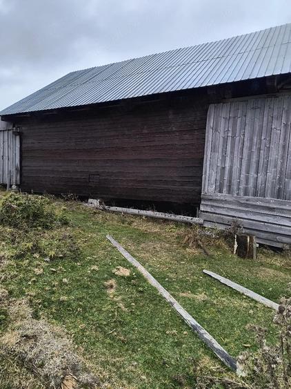 Casă în Albac