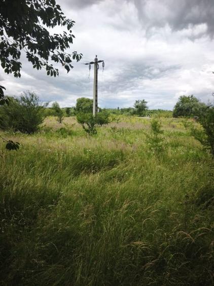 Teren Construcții intravilan de 4594 mp, în Gălănești