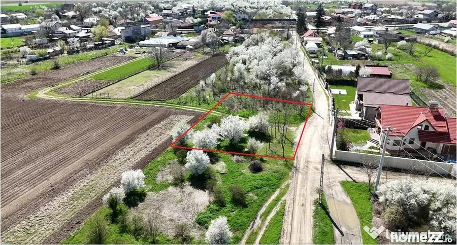 TARTASESTI, TEREN 801 MP! - 8
