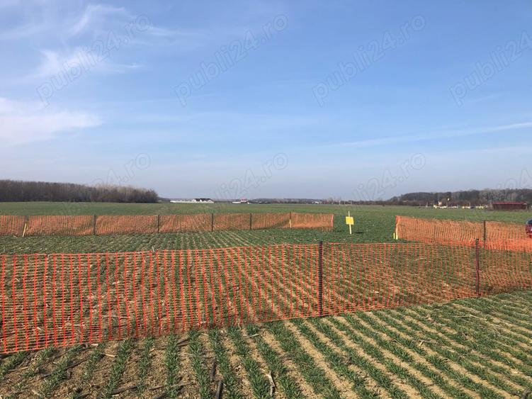 Teren de 622 mp, în Clinceni
