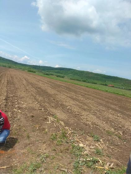 Teren de 10000 mp, în Bradu