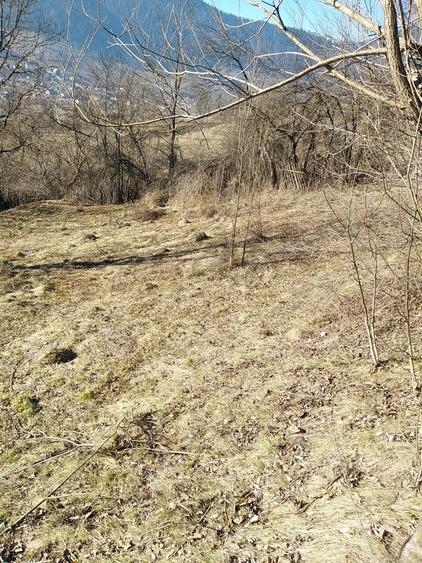 Teren de 765 mp, în Pârâul Pântei