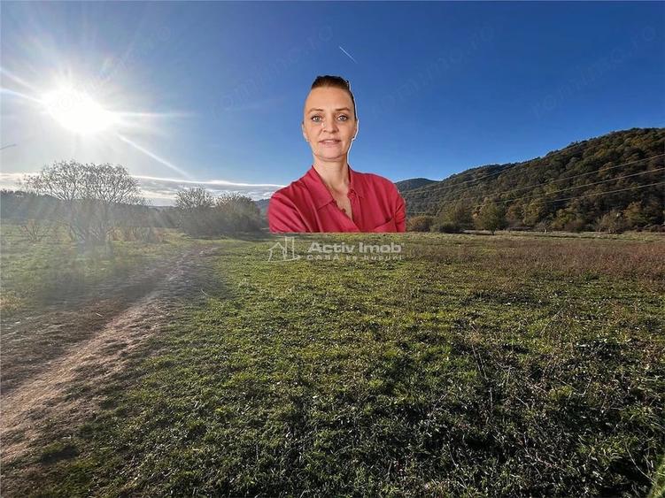 Teren de 2754 mp, în Bocșa