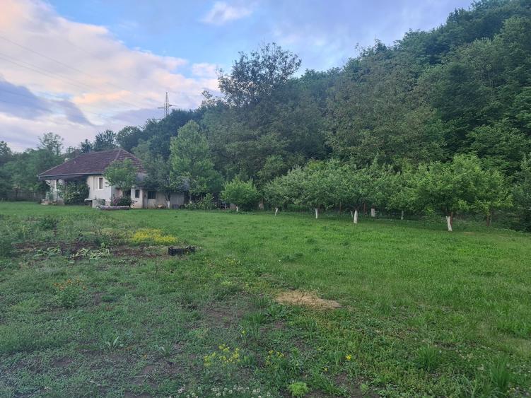 Casă cu 3 camere în Central
