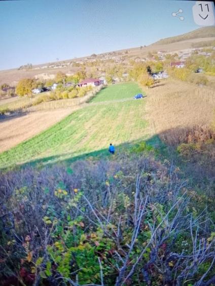 Teren de 7500 mp, în Ciucurova