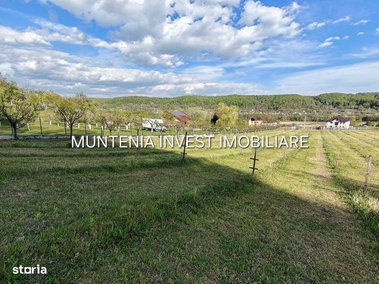 Spațiu comercial, în Albota