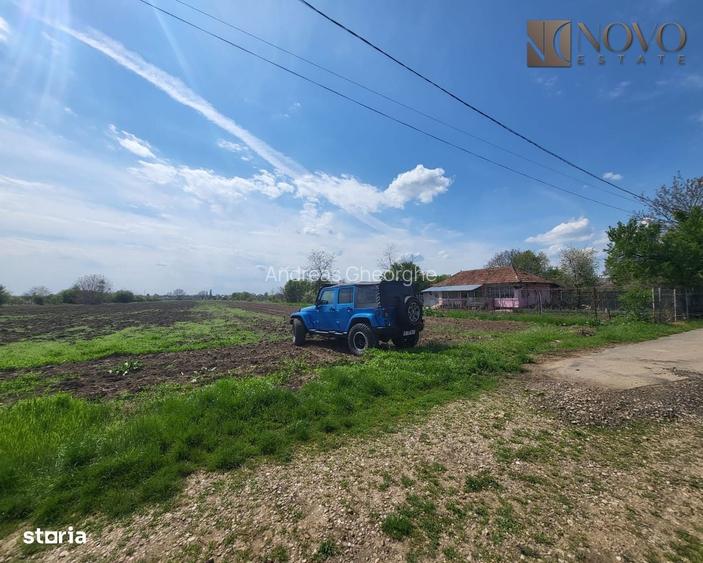 Teren 11.000 mp | Gradistea | Oportunitate Dezvoltare