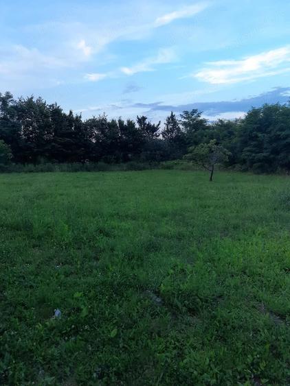 Casă cu Teren 2900 Mp în Ardusat