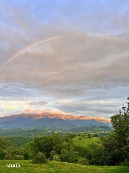 Teren de 110000 mp, în Peștera