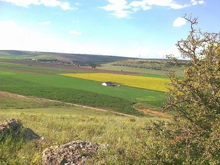 Teren de 90000 mp, în Central