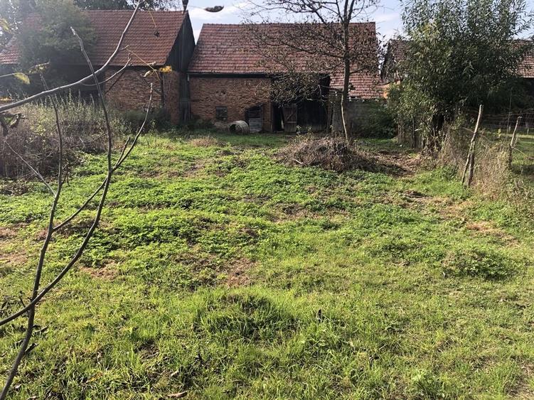 Casă cu 3 camere în Noua