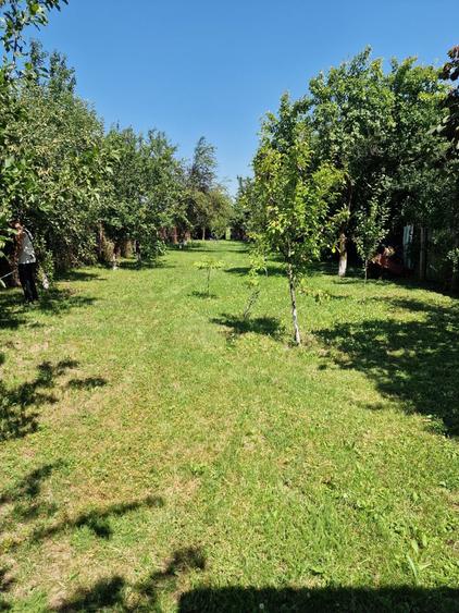 Teren Intravilan / Floresti Prahova 4500mp - 4