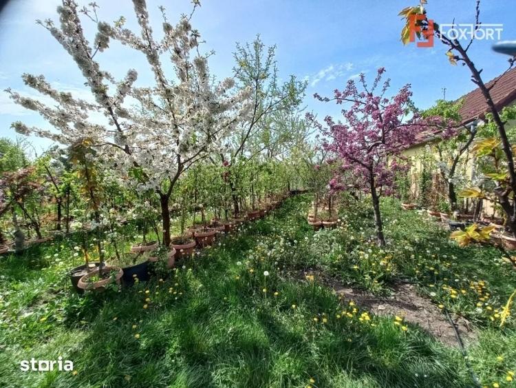 Casă cu 5 camere cu Teren 805 Mp în Ghiroda