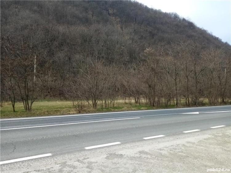 Teren în Central