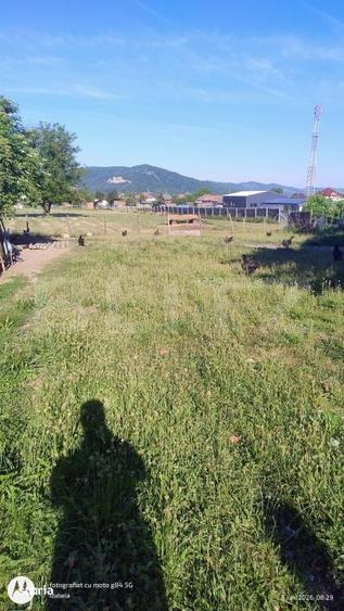 Casă cu 5 camere cu Teren 560 Mp în Cășeiu