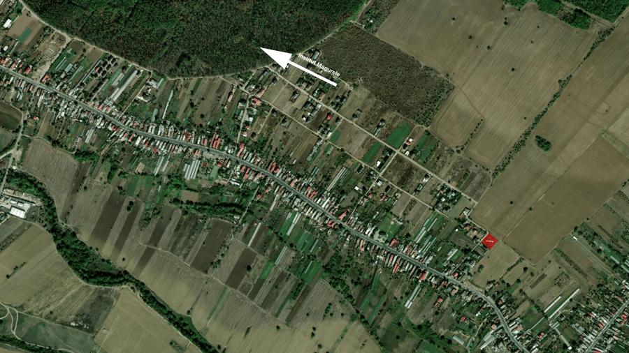 Teren Construcții intravilan de 1715 mp, în Alunișu