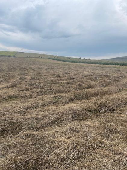 Teren agricol extravilan de 2900 mp, în Gilău