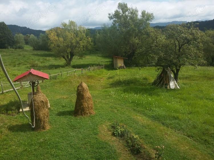 Teren de 5000 mp, în Galeșu