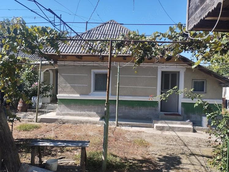 Casă cu Teren 5500 Mp în Central