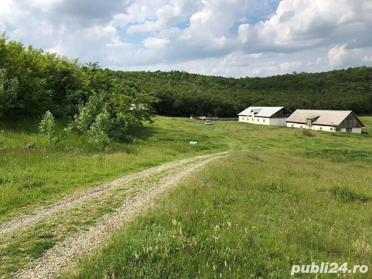 Teren în Zăicești
