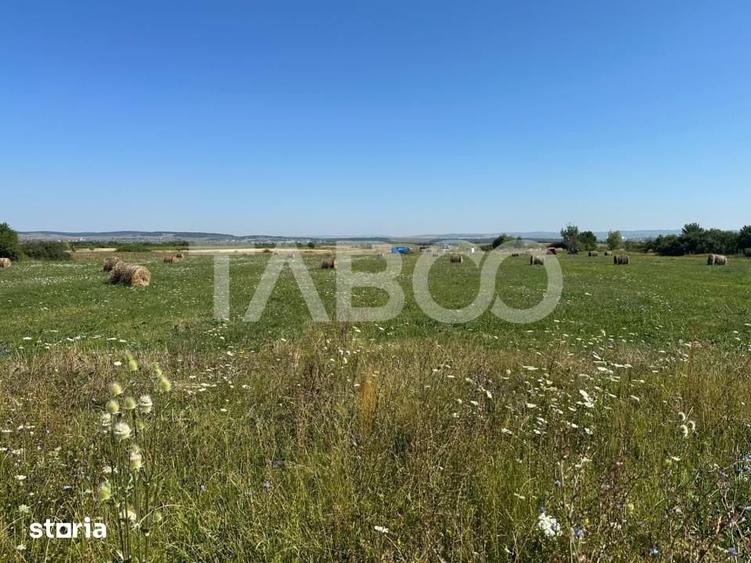 Teren de 1800 mp, în Poplaca
