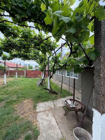 Casă cu 3 camere în Diosig