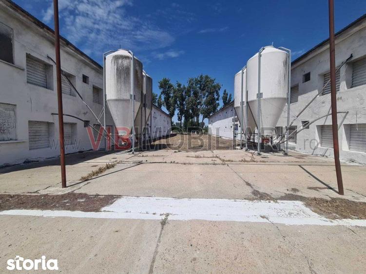 Teren de 35000 mp, în Funcționarilor