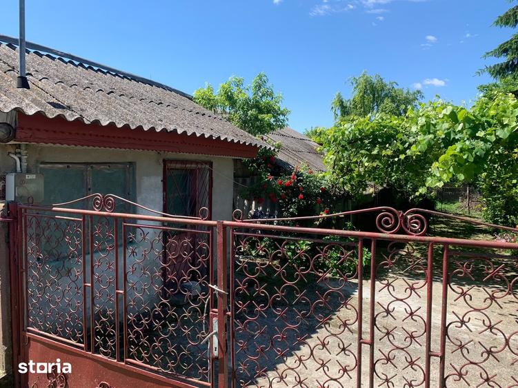 casa si teren de vanzare ,comuna nana,judetul calarasi - 14