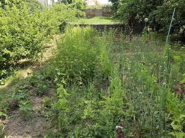 Casă individuală cu 4 camere cu Teren 5200 Mp în 9 Mai