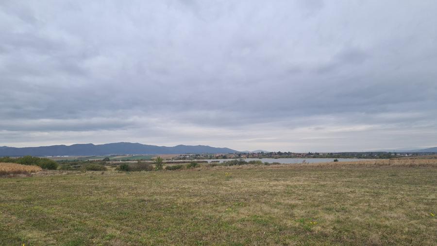 Teren agricol extravilan de 48100 mp, în Hălchiu
