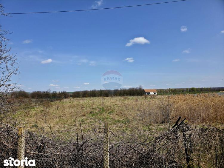 Teren de 7000 mp, în Girov