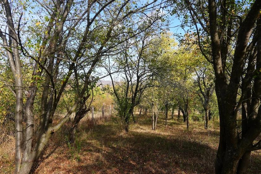 Casă cu Teren 1200 Mp în Runcu