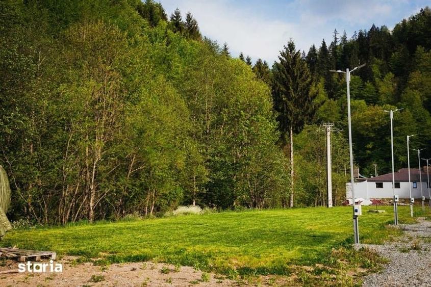 Teren intravilan 4000mp ideal investitii in apropiere de Colibita - 6