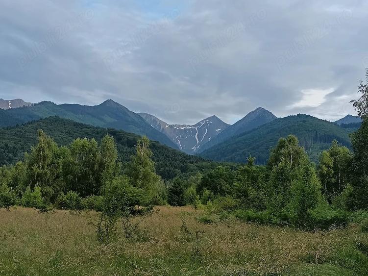 Casă cu Teren 800 Mp în Viștișoara