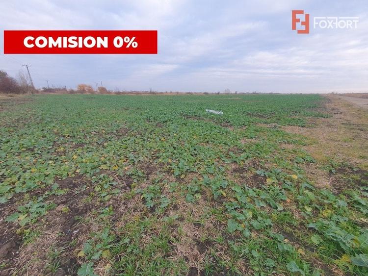 Teren agricol extravilan de 213257 mp, în Sud