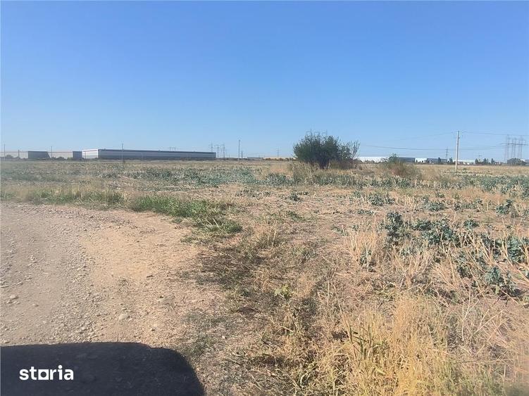 Teren Domnesti,iesire rapida A1 si Centura Bucuresti,zona Divertland s - 2