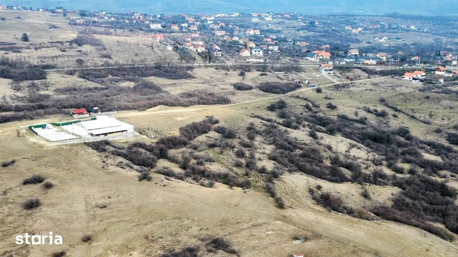 Teren de 67500 mp, în Roșia