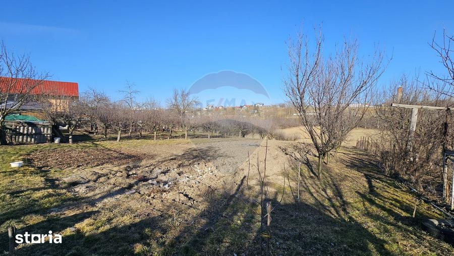 Casă cu 3 camere cu Teren 4900 Mp în Central