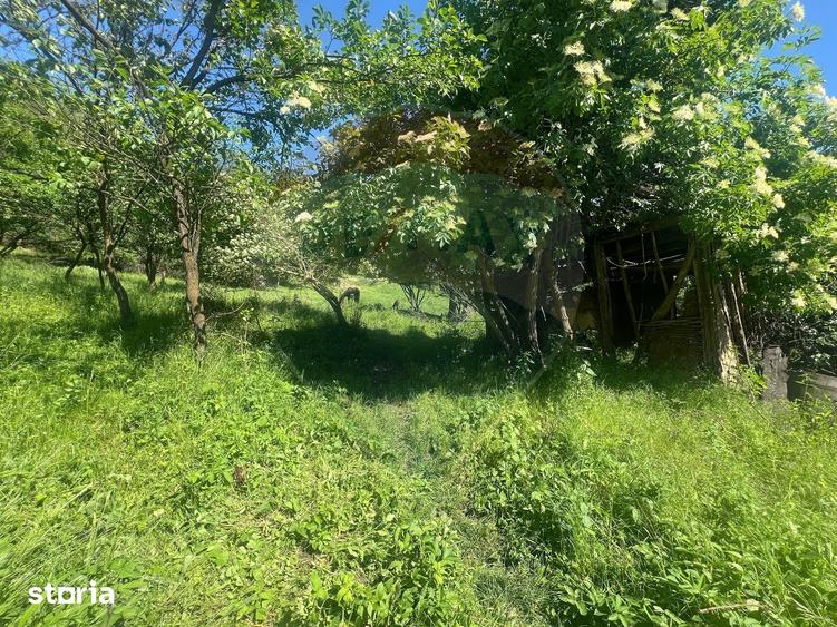 Casă cu 2 camere cu Teren 1000 Mp în Traian