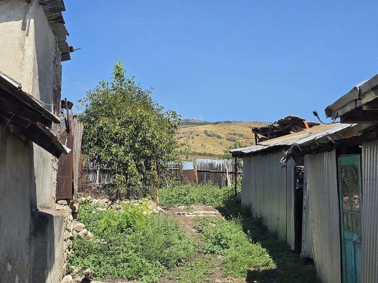 Proprietate cu potential - 2.200 mp Strada Principala, Greceanca - Apa+Curent - 4