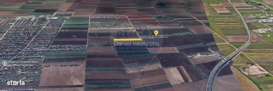 Teren Investitie 6300mp Sacele - 10m de Utilitati in Raza Soarelui