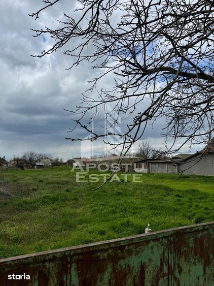 Teren intravilan 1000 mp in Dinias 20km de Timisoara - 1