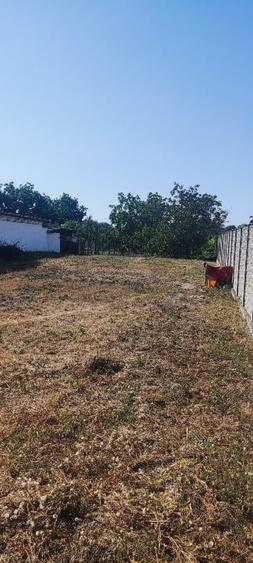 Teren Construcții intravilan de 1118 mp, în Vladimirescu