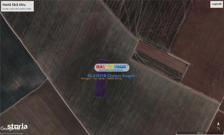 Adunatii Copaceni teren intravilan 14700 mp,deschidere 62m - 2